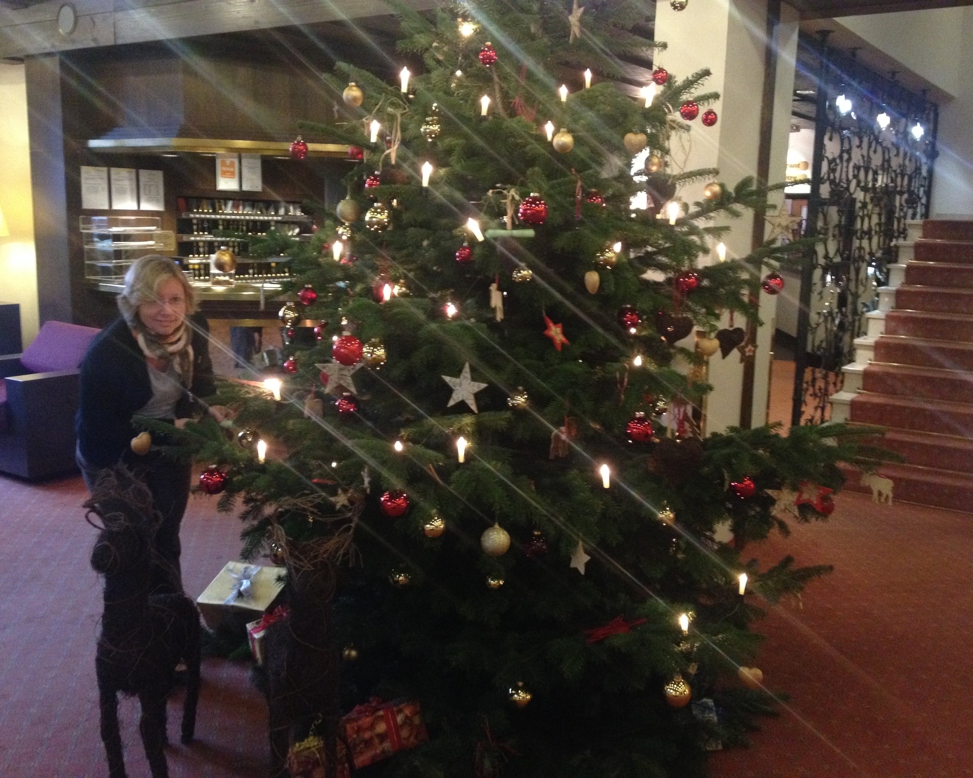 Der relexa Weihnachtswunschbaum