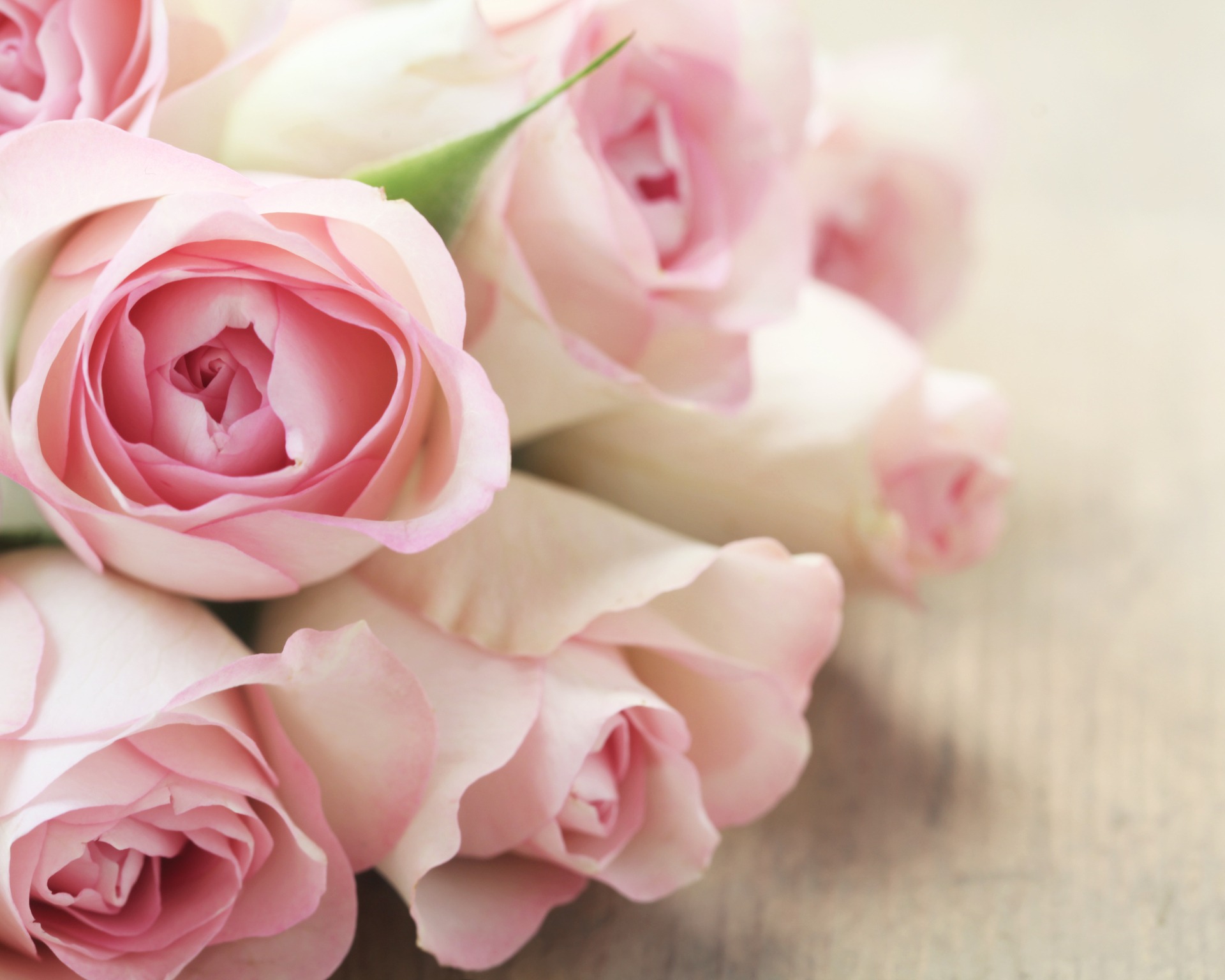 Rosenstrauss liegt auf dem Tisch