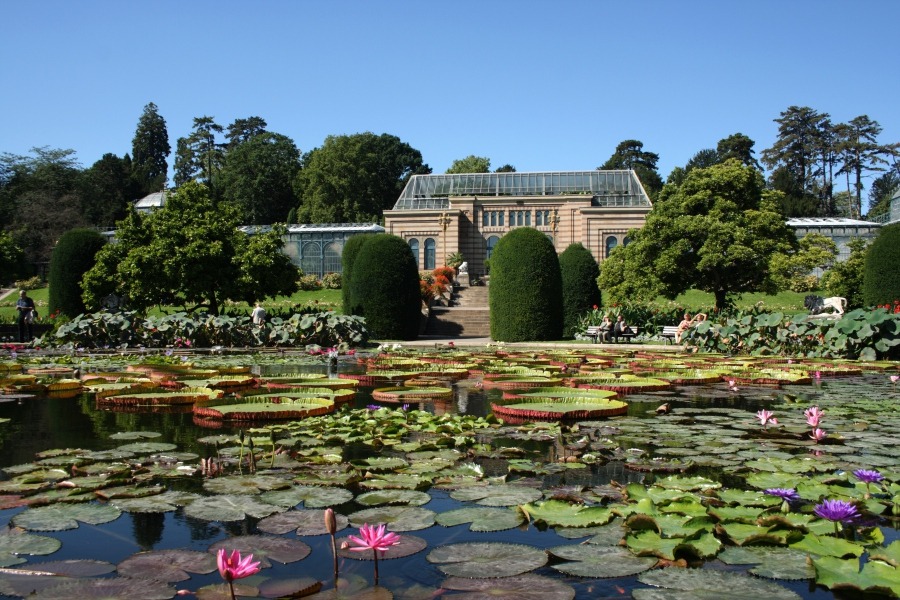 Wilhelma Zoo Informationen